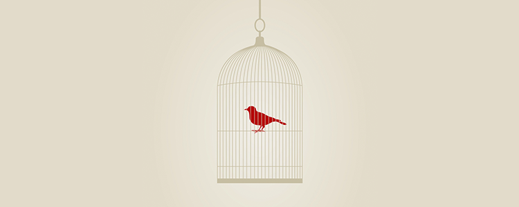 正规的交易网站求的DDOS攻击测试